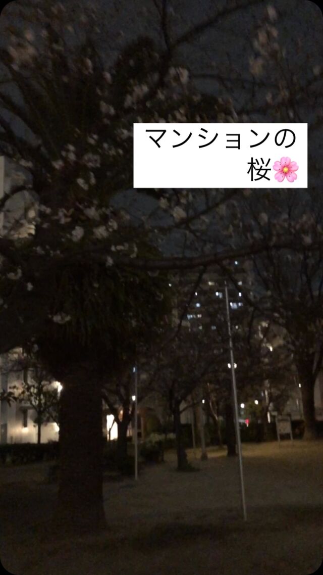 マンションの敷地内の、桜がやっと咲いて
気持ちが明るくなります！

寒い冬を耐えて、桜はいつも🌸無言で
力を与えてくれます❗️

# 桜日本の春
# 日本の誇り
# 花の力