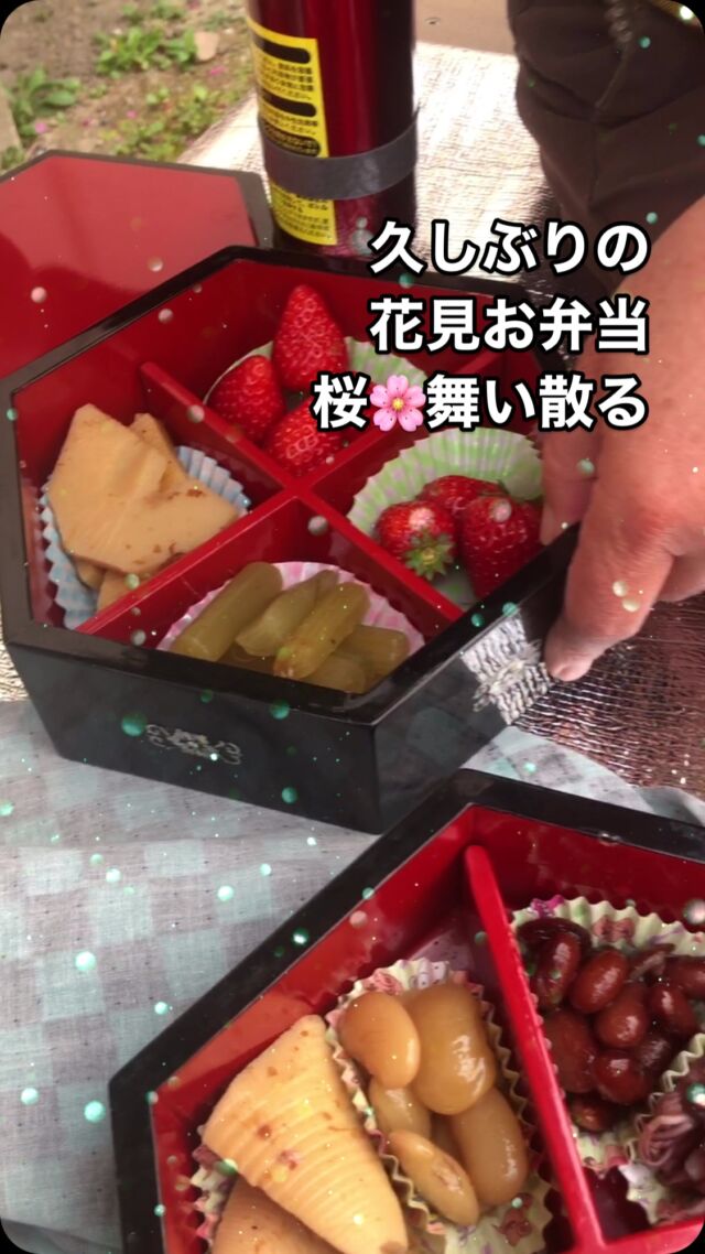 久しぶりに花見のためのお弁当を作ってみました。

引越しの時に、見つかったラデンの重箱が出てきて、お料理を作ってみたくなりました！

手間はかかりましたが、桜の下で食べるお弁当は格別の美味しさでした。

春の陽気と花の香りが、料理をより一層引き立ててくれました⁉️

心温まる素敵な時間を過ごすことができました。

#　桜🌸
#  日本文化
# 桜から春の便り