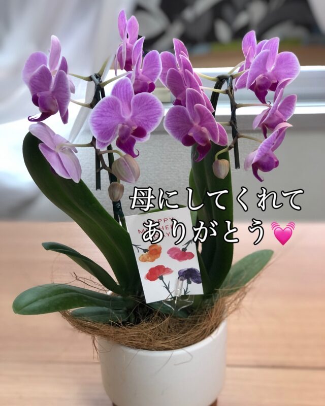 # 娘から
# いつのまにか、
# 気遣いができる子に
# 成長して、、
# ありがとう